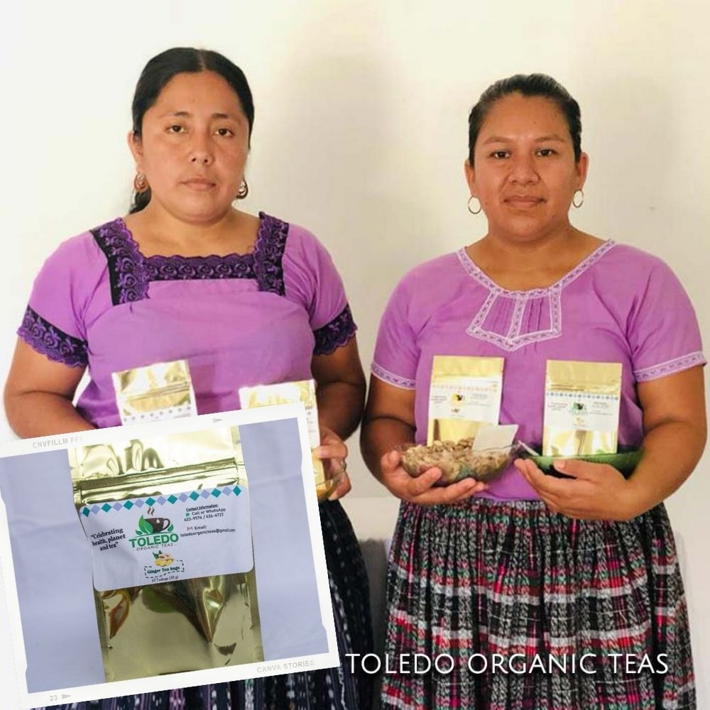 Toledo Organic Tea Belize gift