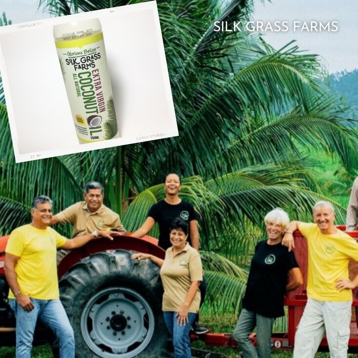Silk Grass coconut oil belize gift